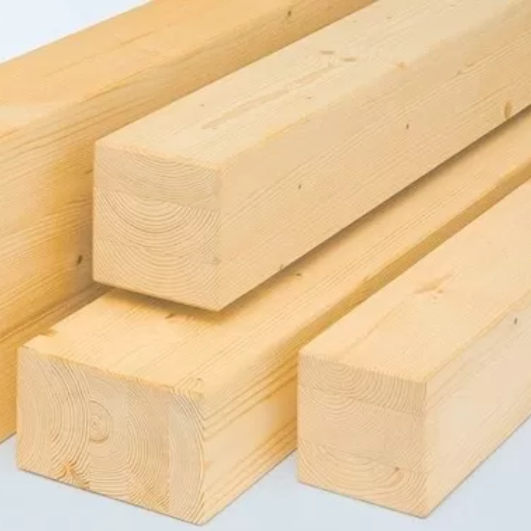 CATEGORÍAS MIBA (16)